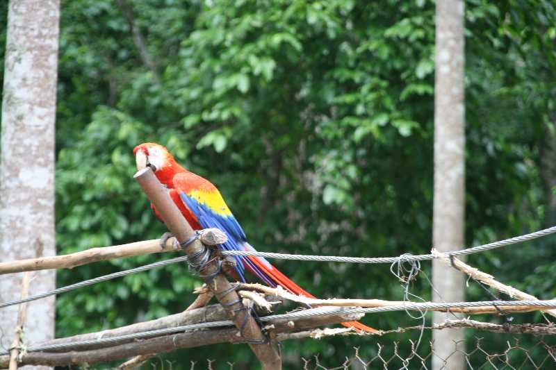 Mexico & Guatemala 2010 - 0856